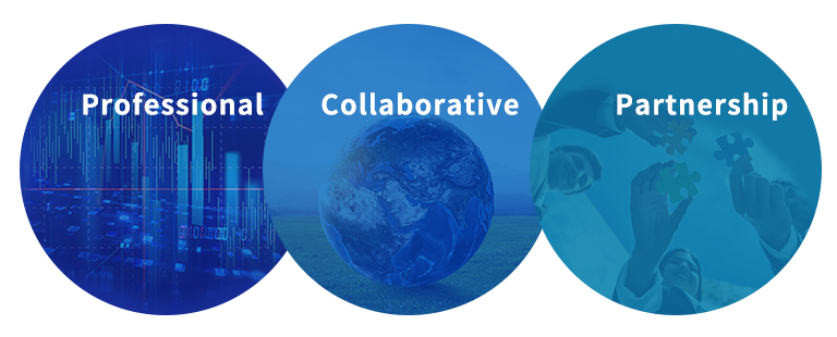 Professional & Reliable,Collaborative,Partnership