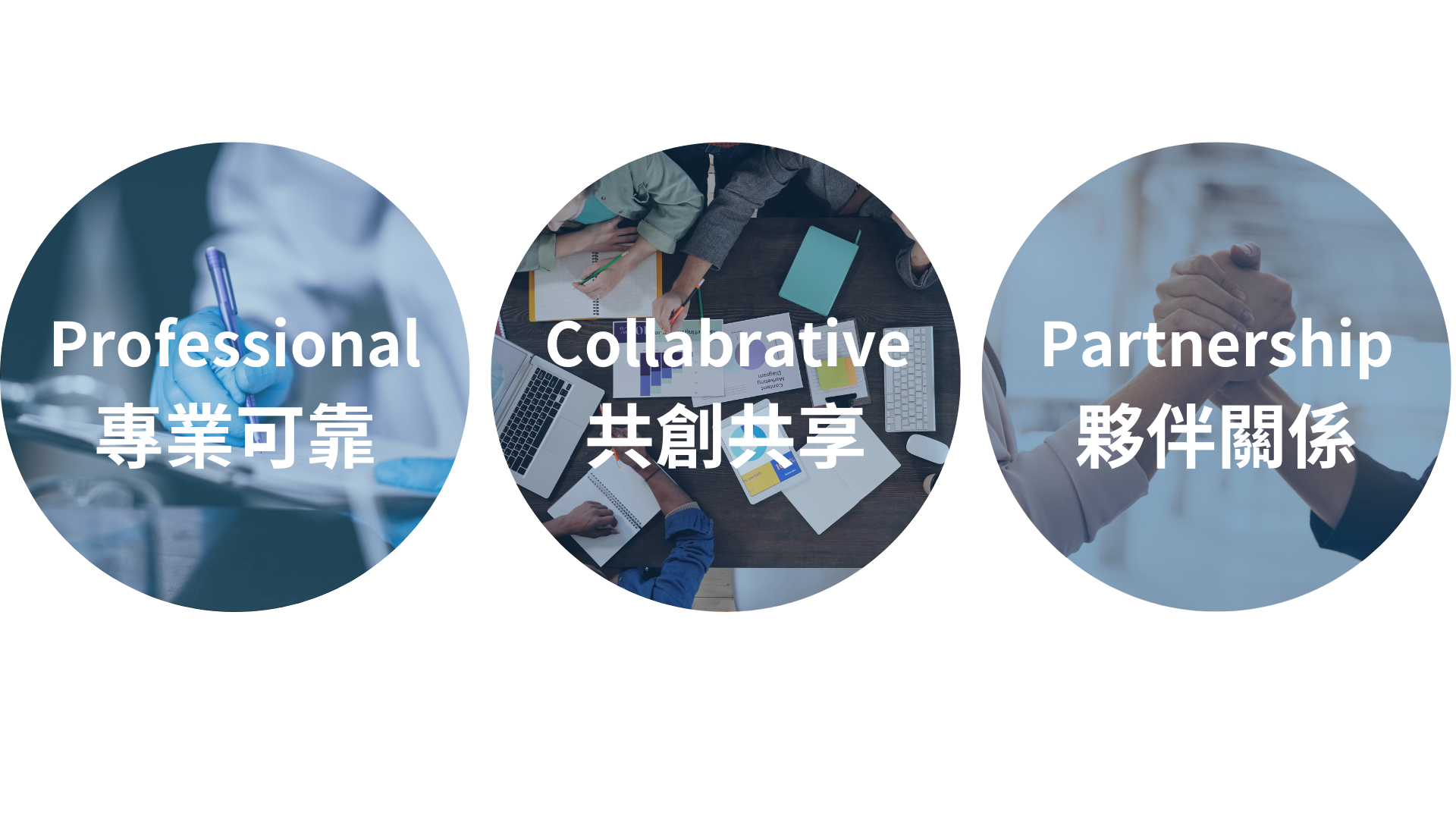 Professional, sharing, partnership